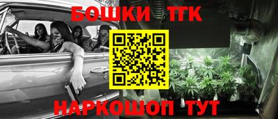 прущие грибы Аргун