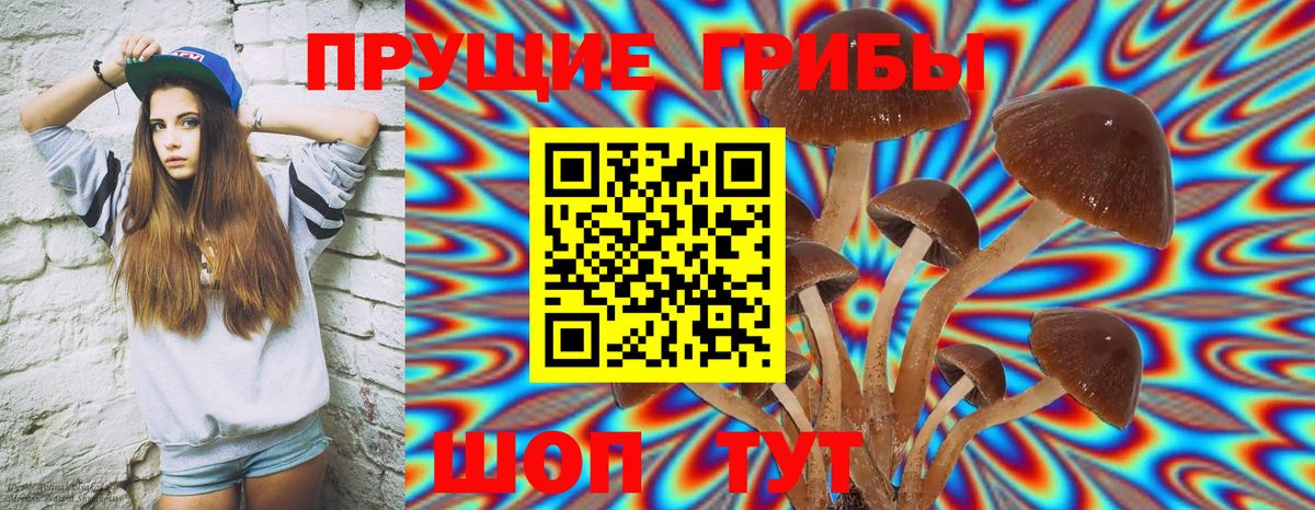 Галлюциногенные грибы Psilocybine cubensis  Псилоцибиновые грибы Cubensis  Вход с VPN  Великий Новгород 